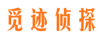 兴山侦探公司